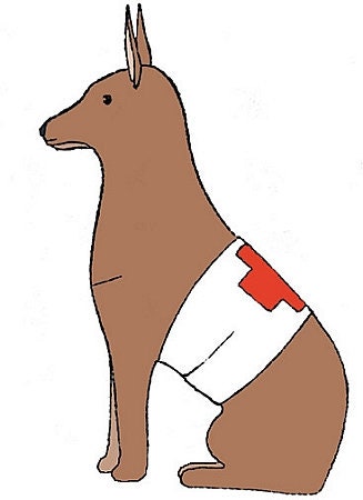 1916 Red Cross Dog Sewing Pattern - INSTANT DOWNLOAD - Reproduction Sewing Pattern #N3645 - WWI Fund Raiser - pdf - Print At Home